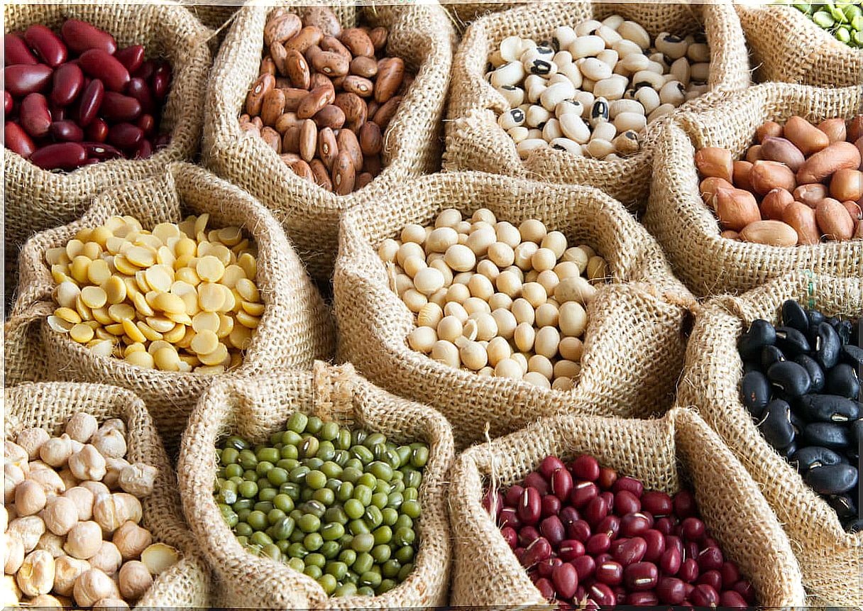 3 benefits of legumes for children