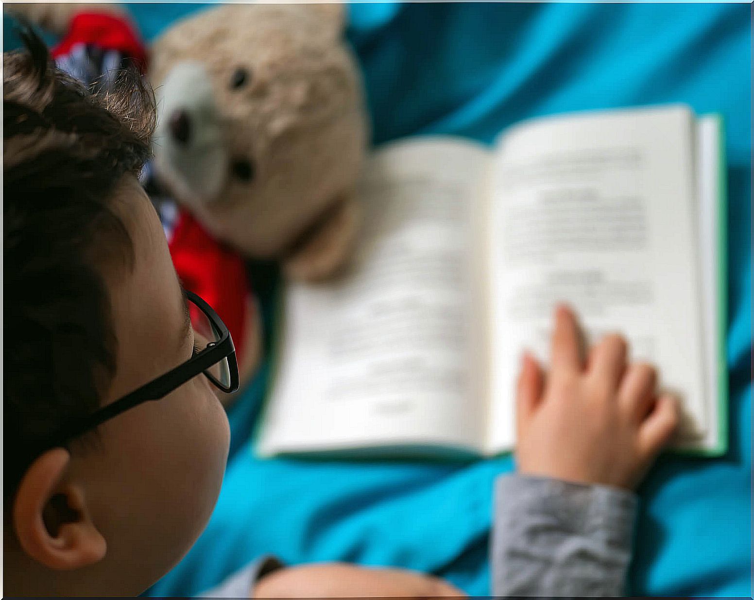 Boy reading one of the informational books to his teddy bear.