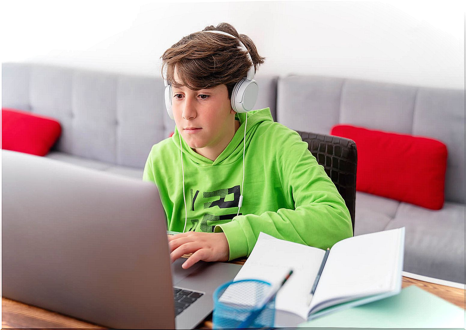 Boy studying at home with computer.