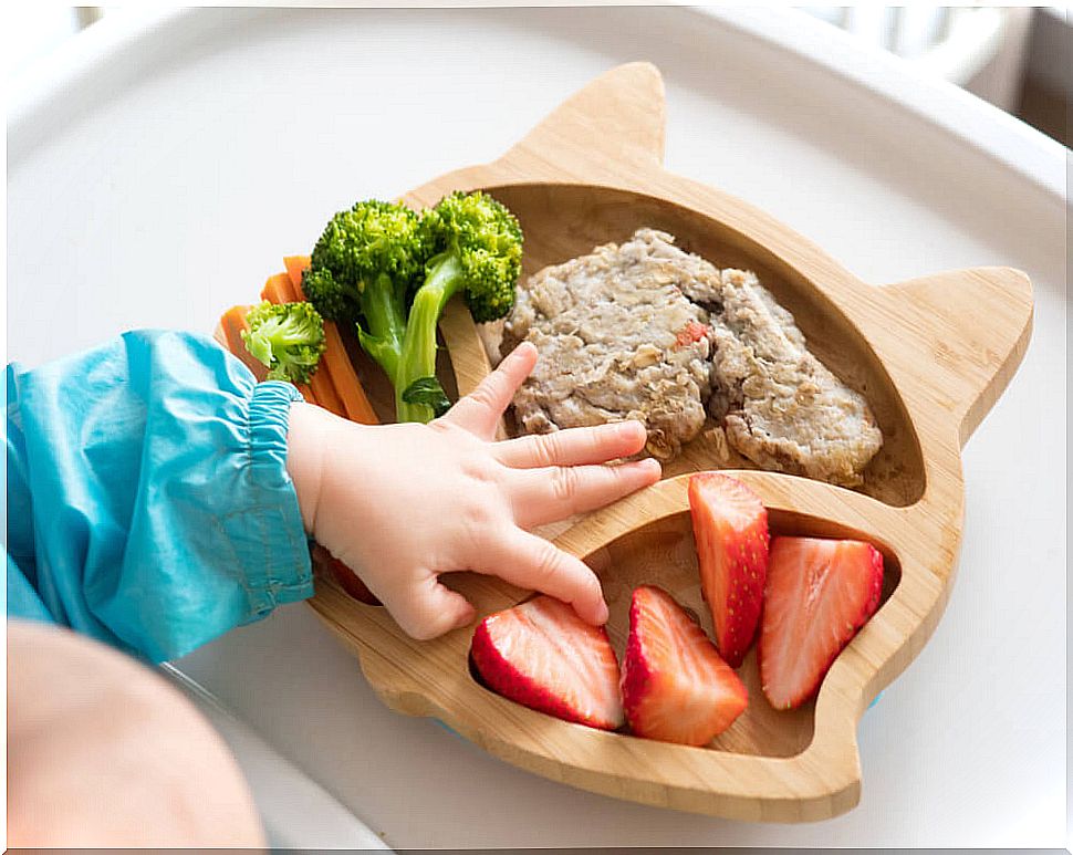 Baby Led Weaning Recipes