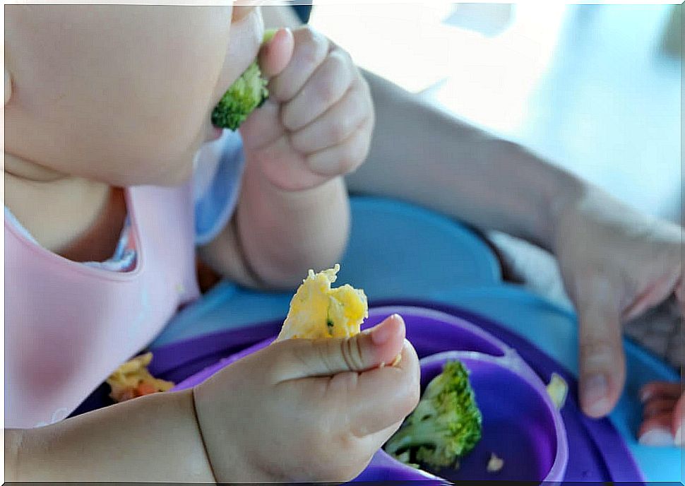 Baby eating using the Baby Led Weaning technique.