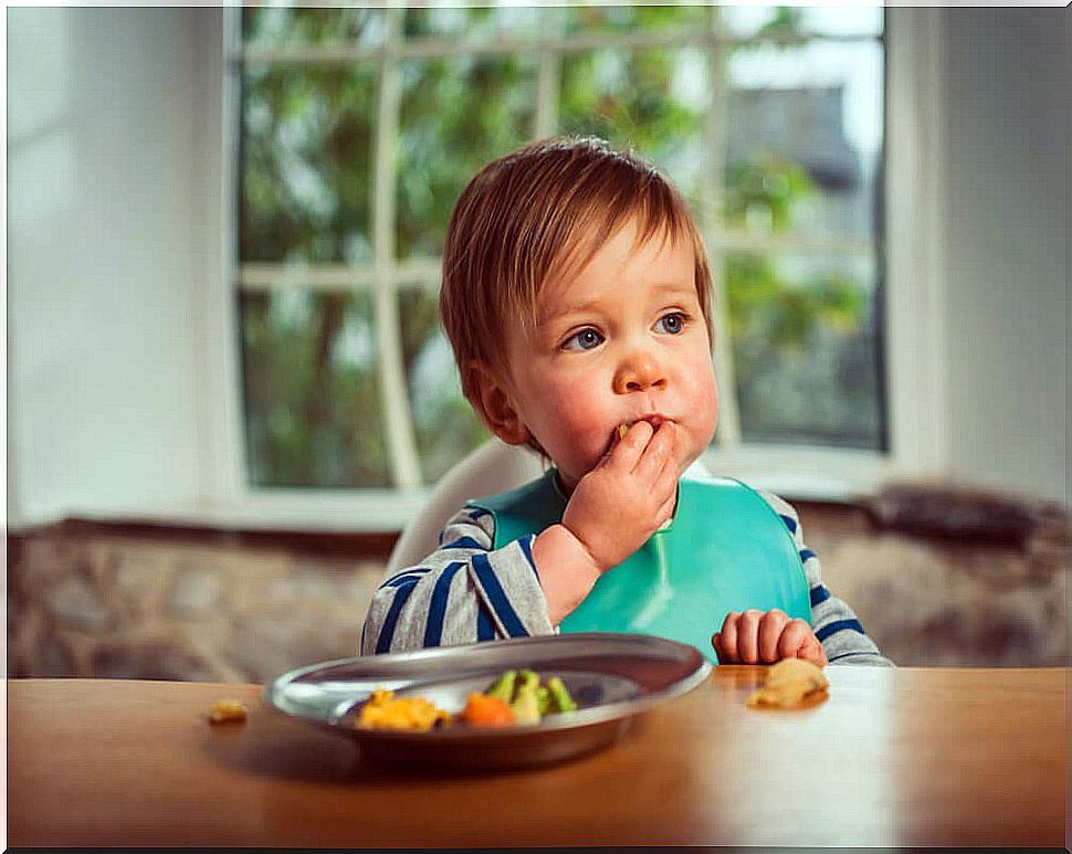 Baby eating using the Baby Led Weaning technique.