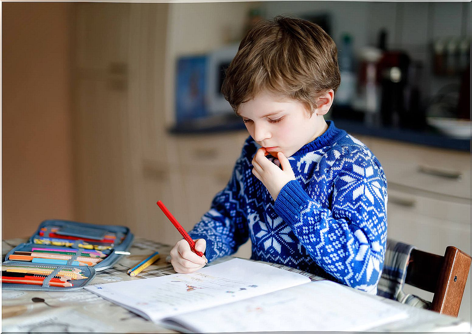 Boy doing homework at home in a suitable space to motivate the child.