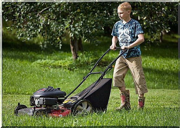 Home jobs are great for teens to work in the summer.