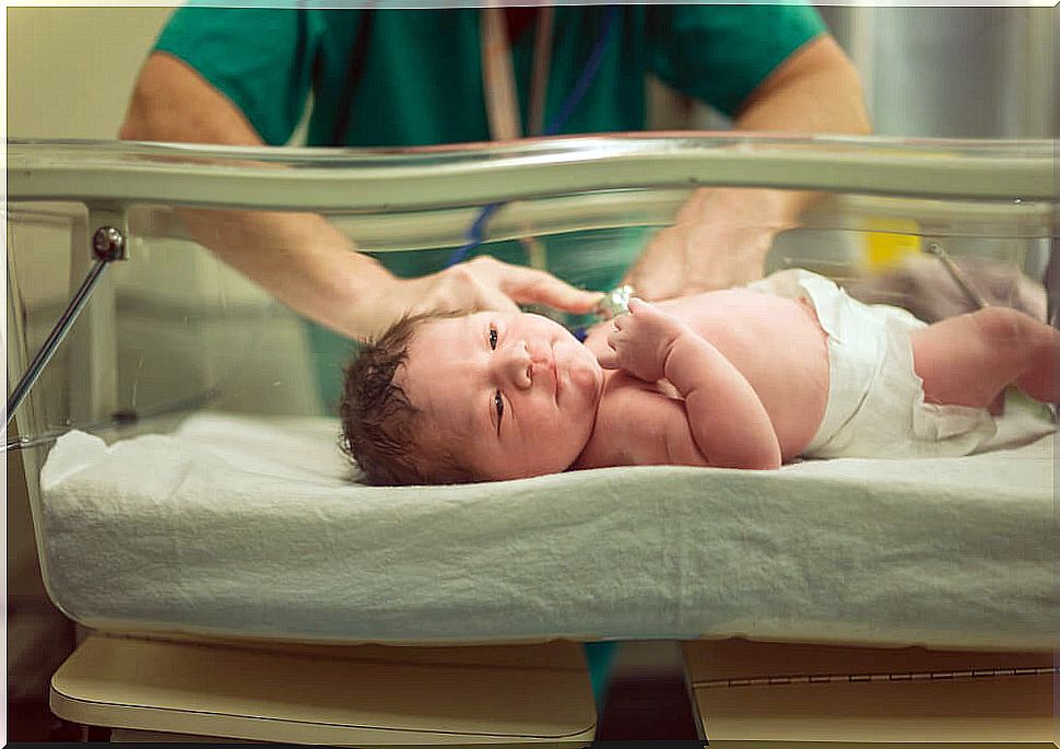 Neonatology: definition and characteristics