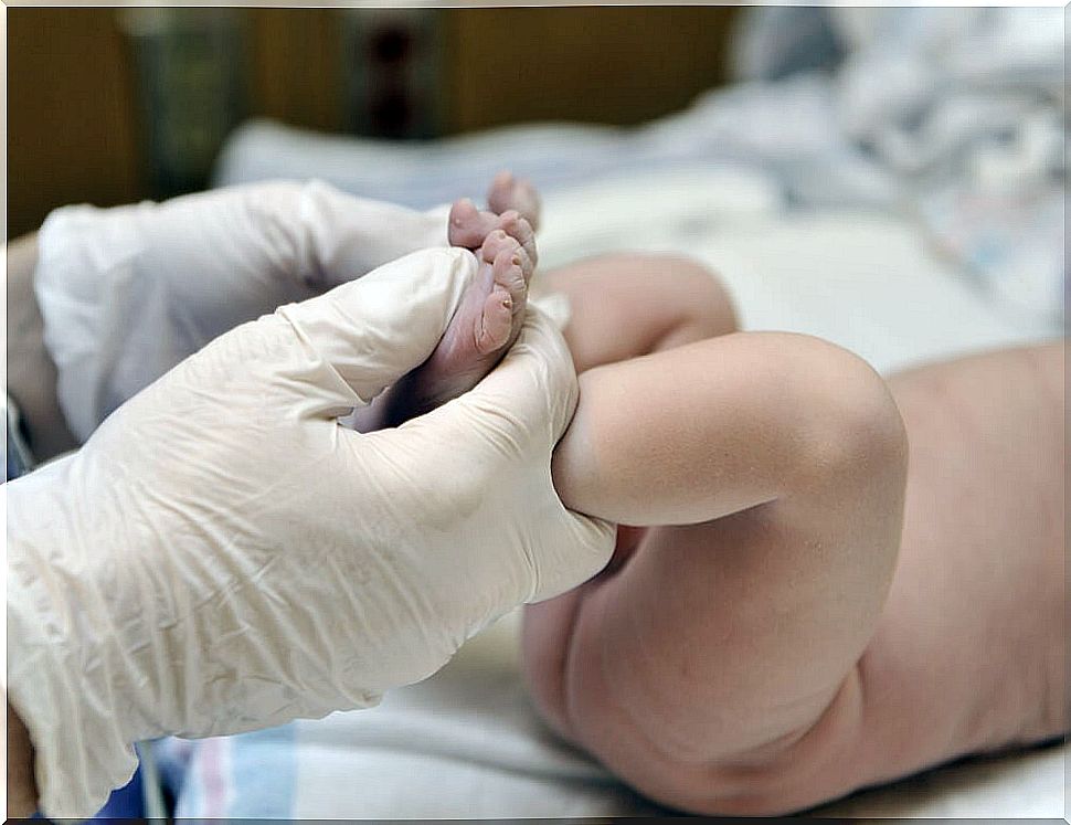 Neonatology: definition and characteristics.