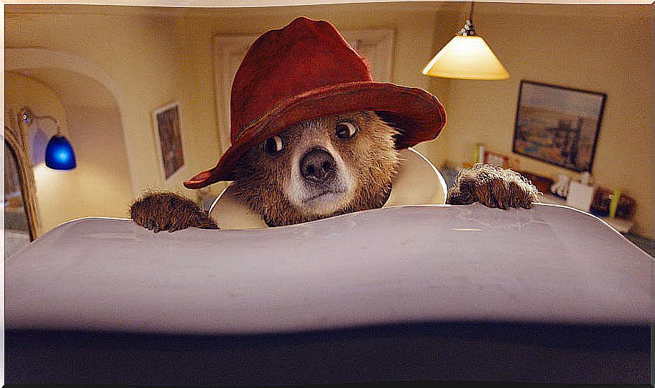 Paddington, a movie for everyone