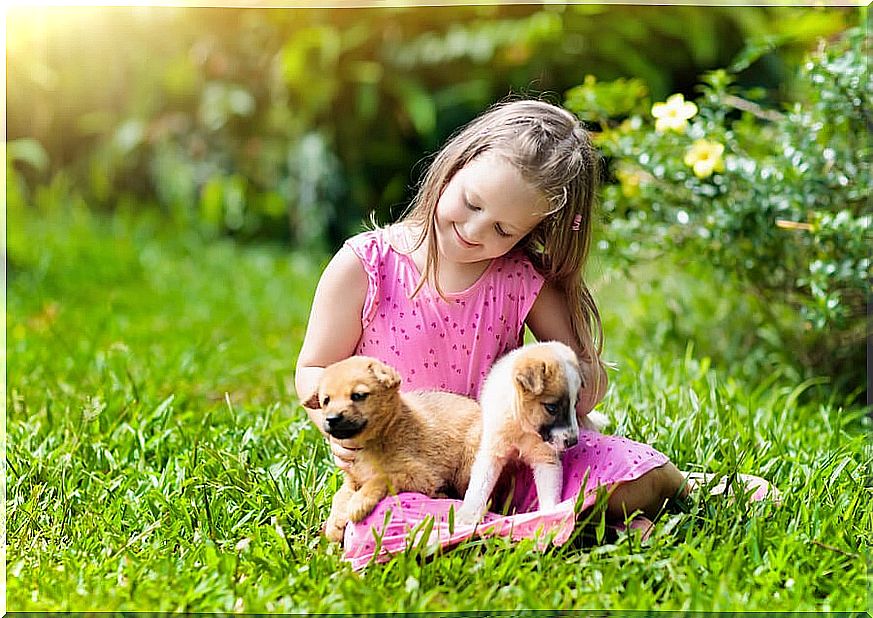 Puppies are an adorable pet for children.