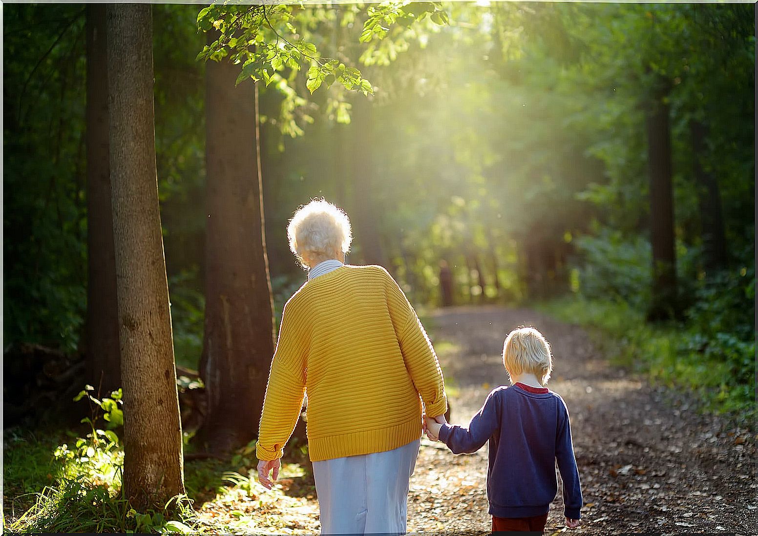 Thank you grandmothers for being that light that guides the grandchildren