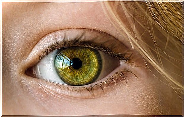 The importance of visits to the ophthalmologist